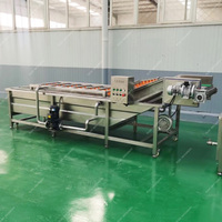 Machine à laver industrielle commerciale de pomme de terre de légume d'avocat de fruit d'avocat de bulle/ligne de production de légumes congelés