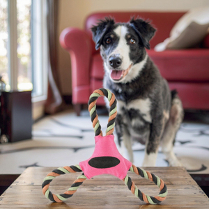 Fabricante de alta calidad, fuerte y resistente, Boomerang, juguete interactivo para perros, volante multicolor, juguete para buscar, juguete triangular, productos para mascotas - Product Image 3