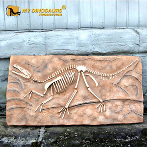 My Dino DS-124 Plaque d'exposition <span class=keywords><strong>de</strong></span> fossile <span class=keywords><strong>de</strong></span> dinosaure <span class=keywords><strong>Velociraptor</strong></span> pour musée - Product Image 1