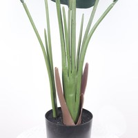 Planta Artificial de Plátano Viajero en Maceta, de Plástico Verde, con Opciones de Varios Tamaños, Personalizable