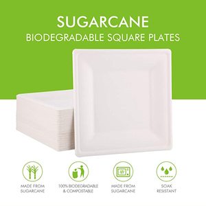 Piccoli piatti usa e getta biodegradabili di <span class=keywords><strong>carta</strong></span> 8 ''bagassa quadrata sicura per merenda da Dessert - Product Image 3