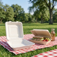 Boîte à burger personnalisée en bagasse de canne à sucre avec fenêtre, emballage biodégradable pour sandwichs, idéale pour la restauration rapide et les plats à emporter à base de protéines végétales