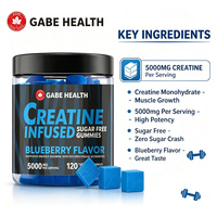 Gummies de Créatine Monohydrate en Gros 5000mg par Portion Sans Sucre Végétaliennes Myrtille Force Musculaire Endurance Pré-Entraînement OEM