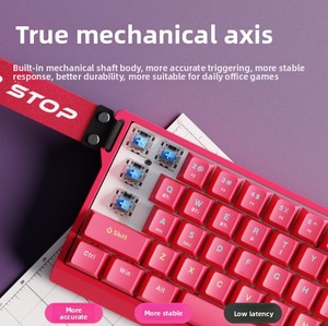 لوحة مفاتيح ألعاب ميكانيكية لاسلكية EWEADN DK63 بنسبة 63٪ مع إضاءة خلفية RGB ومفتاح أزرق ومنفذ USB من النوع C قابلة لإعادة الشحن - Product Image 3