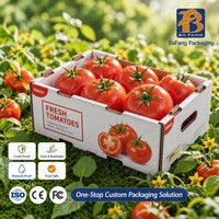 Umweltfreundliche Obstboxen aus recycelbaren Materialien, leicht und ideal für die Verpackung von Äpfeln, Orangen und Beeren.