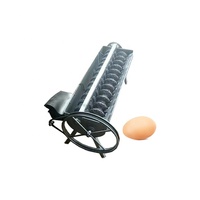 Poultech Cages à poules pondeuses pour la mise au point des œufs, batterie pour poule pondeuse, Cages pour poules pondeuses, vente en algérie