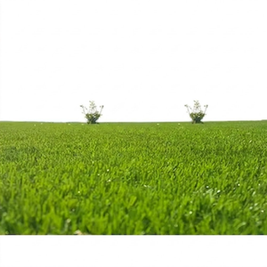 Césped Artificial Premium para Paisajismo, Césped con Respaldo de Doble Capa SPU, Adecuado para Decoración de Jardines y Patios - Product Image 1