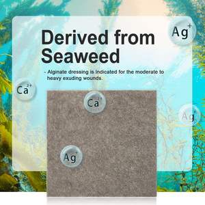 Risenmed Perban Alginat Antimikroba Kalsium Perak yang Nyaman untuk Luka yang Sangat Berair - Product Image 3