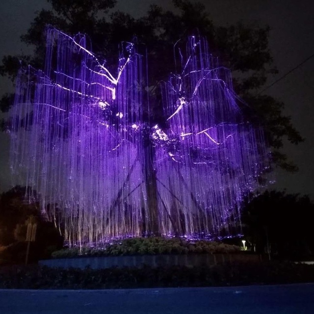 RGB 45W IP65 Plastic Fiber Optic Tree Light LED Decorative Lighting with Wireless Control Multi-Color Temperature AC 85-265V
