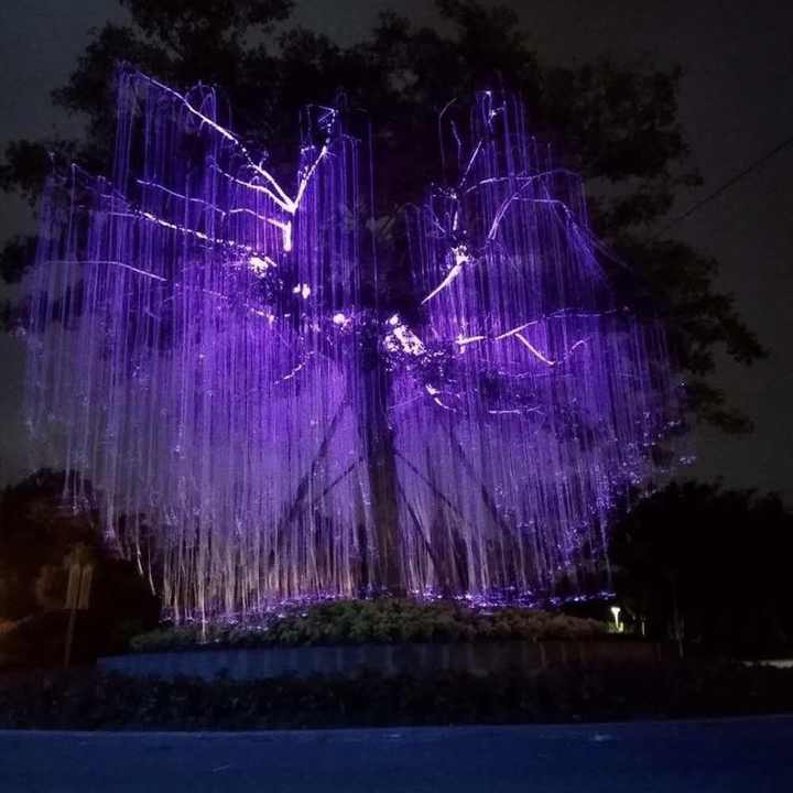 RGB 45W Fiber Optic Fiber Light outdoor rainproof tree light led ...