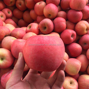 แอปเปิ้ลฟูจิแดงสดคุณภาพดีจากจีน ขายส่ง - Product Image 3