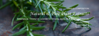 Crème Capillaire Bio Épaississante Anti-Pelliculaire et Favorisant la Croissance, à Base de Plantes, Marque Privée OEM, avec Ginseng, Biotine et Bloqueur de DHT, Anti-Chute