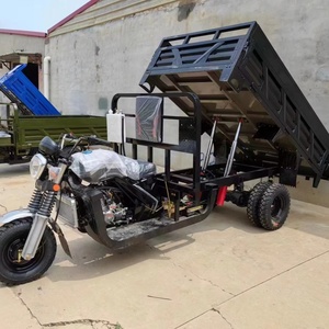 รถสามล้อ5ล้อสำหรับการขนส่งสินค้า250cc - Product Image 2