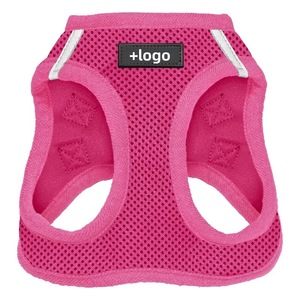 Arnés y Correa para Perro de Malla Transpirable, Cómodo Conjunto de Nailon con Patrón de Letras para Perros Pequeños y Medianos - Product Image 6