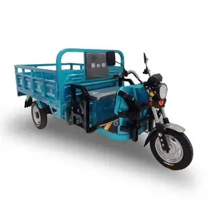 High Quality 24-Pipe Three Wheel Electric Pedicab Bike Tricycle For Elderly Use