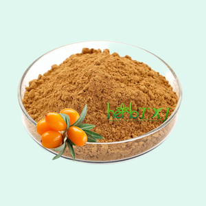 Bubuk Buckthorn laut beku kering pabrik grosir bubuk Buckthorn laut beku curah kering - Product Image 3