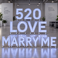 Décorations de mariage : Lettres lumineuses « Marry Me », lettres LED de 4 pieds, lettres lumineuses LED, alphabet LED, lettres LOVE