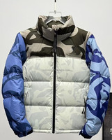 Veste d'hiver TNF OEM en duvet, manteau en coton, veste décontractée pour homme et femme