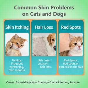 <span class=keywords><strong>Spray</strong></span> de soin des plaies pour chats et chiens avec action antibactérienne et <span class=keywords><strong>anti</strong></span>-inflammatoire, soin de la peau et des plaies des animaux de compagnie, 30 ml - Product Image 2