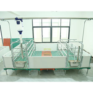 กรงคลอดลูกสุกรแบบกึ่งยุโรปชุบสังกะสี ลดราคาพิเศษ - Product Image 2