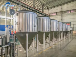 15BBL Craft Beer Brewing Fermenter Tanks Professional 300L Beer Fermentation Tank Made In Stainless Steel 304