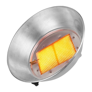 Calentador <span class=keywords><strong>de</strong></span> Gas Pequeño <span class=keywords><strong>de</strong></span> Encendido Manual <span class=keywords><strong>de</strong></span> Buena Calidad para Granjas Avícolas 2026 LQ-AD802 para Pollitos, Patos, Gansos y Cerdos - Product Image 1