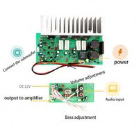 Carte d'amplification mono 350W pour subwoofer, haute puissance, DIY, pour haut-parleur audio musical, carte d'amplificateur de subwoofer finie