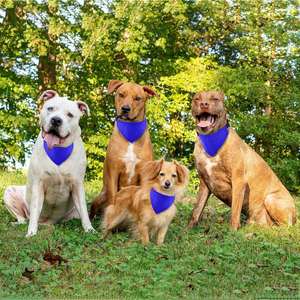 Custom Eco-Friendly Cotton Canvas <b>Dog</b> Bandana <b>Collar</b> with Adjustable Strap Multi-Color Pet Drool Bib Scarf for Small <b>Large</b> <b>Dogs</b> - Product Image 3