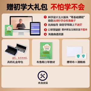 Armónica Blues Feifan de 10 Orificios, Armónica Diatónica Profesional para Principiantes, Instrumento Musical de Práctica - Product Image 5