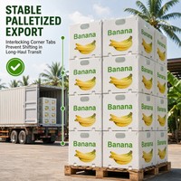 Boîte à bananes en plastique ondulé PP personnalisée en usine, caisse d'expédition réutilisable pour produits frais, emballage ventilé pour fruits