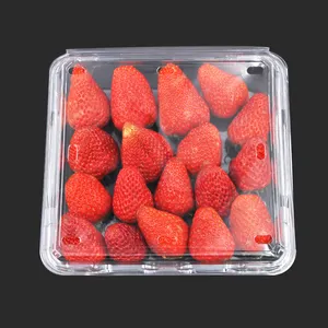 Caja de plástico reciclada para embalaje de frutas y fresas, transparente, con agujeros