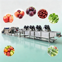 Automatische fruit- en groentewasmachine met luchtbellen, goedkope prijs, citroen-, citrus- en ananasreinigings- en sorteerlijn