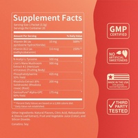 Poudre d'électrolytes pour boisson d'hydratation sportive avec magnésium, saveur pastèque et orange, granules instantanément solubles