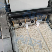 Ligne de production de machines à nouilles instantanées Maggi entièrement automatique, four de cuisson haute capacité et mélangeur pour la transformation des produits céréaliers