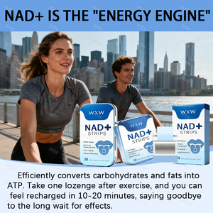 แผ่นลิโปโซม NAD+ แบรนด์ส่วนตัว สำหรับเสริมภูมิคุ้มกันและพลังงานของเซลล์ - Product Image 4