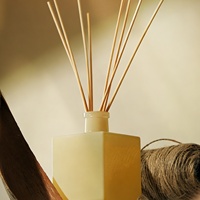 Vente flash : flacon carré en verre de 100 ml, diffuseur de parfum à bâtonnets, huile essentielle naturelle de luxe, parfum d'ambiance, diffuseur de parfum à bâtonnets pour la maison