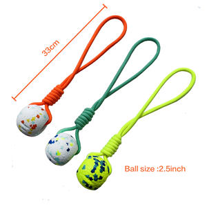 Giocattoli per Cani Interattivi con Corda da Tiro alla Fune, Palla per Addestramento e Pulizia dei Denti - Product Image 3