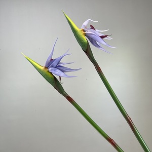 LO-1208 Vente en gros de <span class=keywords><strong>fleurs</strong></span> artificielles <span class=keywords><strong>Strelitzia</strong></span> (oignon d'Inde) à toucher réel de 85 cm pour la décoration des halls d'hôtel et des vitrines - Product Image 2