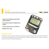 Testeur de résistance d'isolement D1103 5kV 250V 5000V PI DAR 1,4 kg avec décharge automatique pour postes de transformation