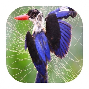 رمي ضباب صافي لصيد الطيور اصطياد الطيور - Product Image 2