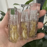 Teinte à lèvres hydratante longue durée waterproof sous marque privée, brillant à lèvres transparent en gros, huile à lèvres à la rose