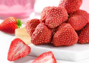 Liofilizador doméstico para comida cruda para perros y gatos - Product Image 5