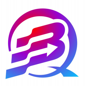 Hong Kong Baiqi Technology Co., Limited logo