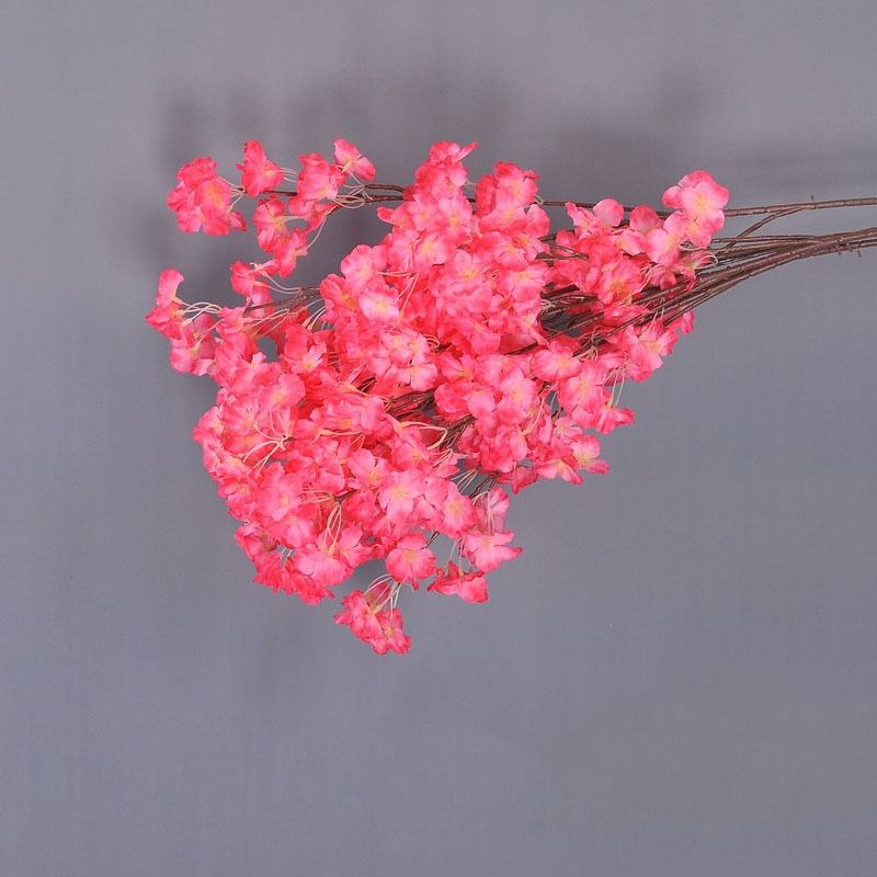 กุหลาบต้นแมดเด