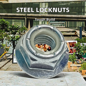 Thép kẽm mạ Nylon chèn mặt bích locknut 1/4-20 <span class=keywords><strong>5</strong></span>/16-18 3/8-16 1/2-13 10-24 10-32 hạt - Product Image 2