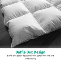 Offre Spéciale Couette Hiver Biologique Climatisée en Plumes d'Oie/Canard Hilton Écologique Vente en Gros