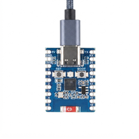 ESP32-H2-Zero Mini Development Board Type-C BLE Zigbee Thread Wireless IoT Controller Dua Versi Opsional
