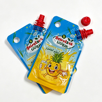 Pochette souple personnalisée en PET de qualité alimentaire avec bec verseur et trou de suspension pour jus de fruits, boissons et emballages liquides pour enfants