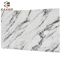 Usine Foshan vente à chaud panneau mural en PVC 3D impression 3D feuille de marbre UV panneaux UV plastique PVC panneau mural en marbre 3d