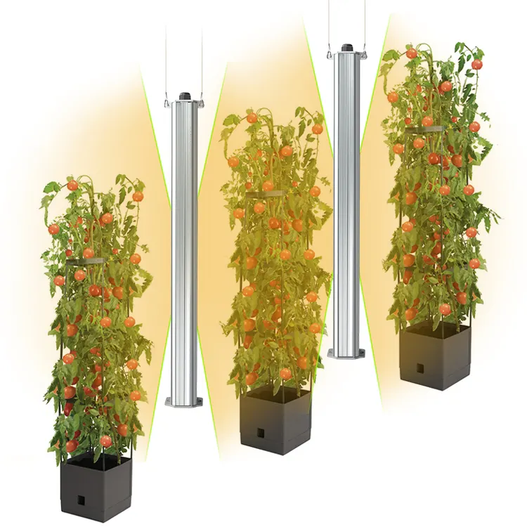 ETL – plante murale verte Agriculture jardin Vertical hydroponique tomates concombres lampe de croissance Double face